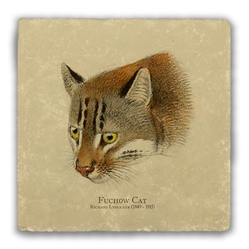 "Fuchow Cat" Tumbled Stone Coaster