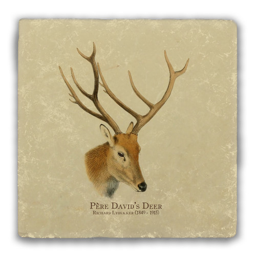 "Pere David's Deer" Tumbled Stone Coaster
