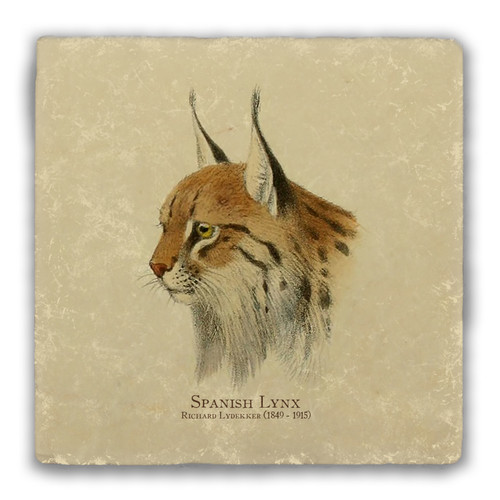 "Spanish Lynx" Tumbled Stone Coaster