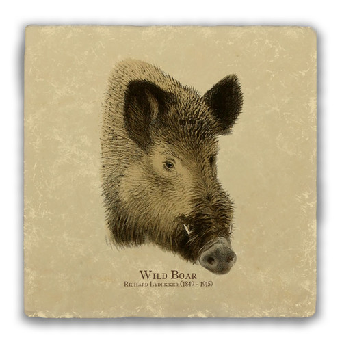 "Wild Boar" Tumbled Stone Coaster