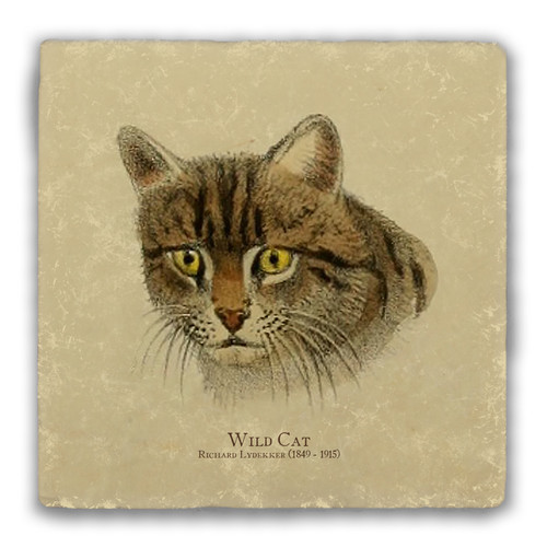 "Wild Cat" Tumbled Stone Coaster