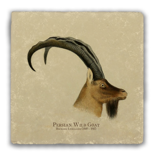 "Persian Wild Goat" Tumbled Stone Coaster