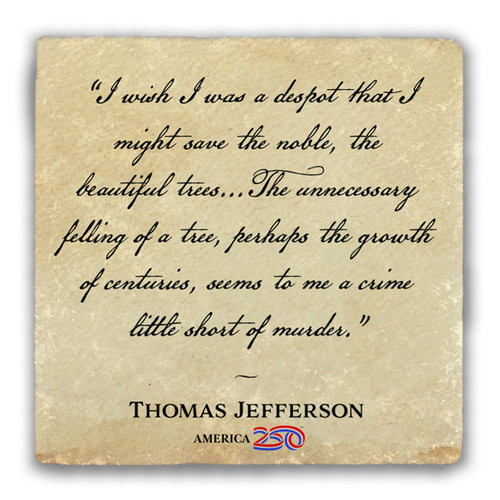 "A Crime Little Short of Murder" Tumbled Stone Coaster