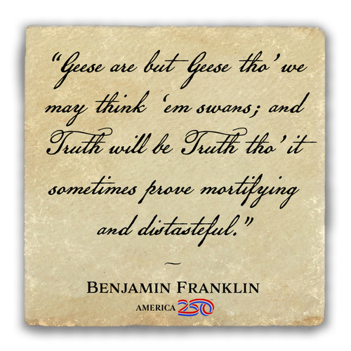 "Geese are but Geese" Tumbled Stone Coaster