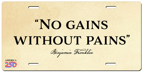 "No Gains" License Plate