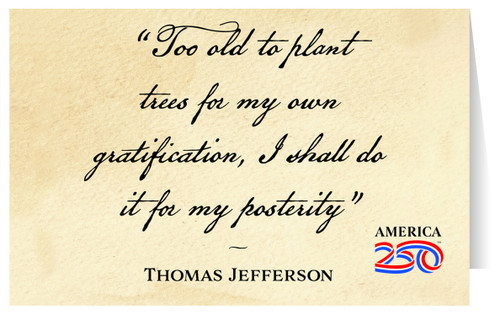 "Too Old to Plant Trees" Greeting Card