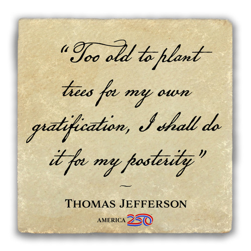 "Too Old to Plant Trees" Tumbled Stone Coaster