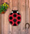 Outdoor Metal Art Ladybug