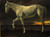 White Horse and Sunset - Albert Bierstadt