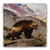 "Wolverine in a Rocky Mountain Landscape" Tumbled Stone Coaster