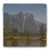 "In the Yosemite" Tumbled Stone Coaster