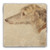 "An Irish Wolfhound" Tumbled Stone Coaster