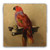 "The Lory" Tumbled Stone Coaster