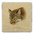 "Fuchow Cat" Tumbled Stone Coaster