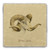 "Siberian Argali" Tumbled Stone Coaster