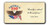 "Curiosity is Natural" America 250 Magnet Long