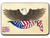 Eagle and Flag America250™ Magnet Standard