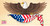 Eagle and Flag Bumper Sticker