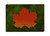 Red Maple Leaf Magnet