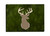 Deer Magnet