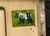 Forest Bear Magnet