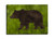 Brown Bear Magnet