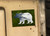 Misty Forest Bear Magnet