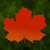Red Maple Leaf Customizable Sticker