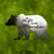 "Life is an Adventure" Bear Sticker
