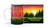 "Catch a Sunset" Forest Customizable Mug