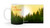 "Wake up to a Sunrise" Forest Customizable Mug