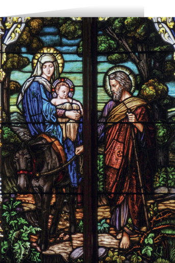 STC-SG5_copy__81893.1727811381