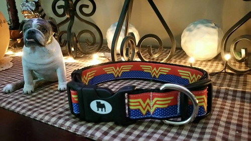 Collars are made with contoured snap lock buckle and heavy duty hardware on 1" wide webbing.All collars have a matching harness and leash to complete the look. Gently hand wash and air dry. Hand made in the USA.