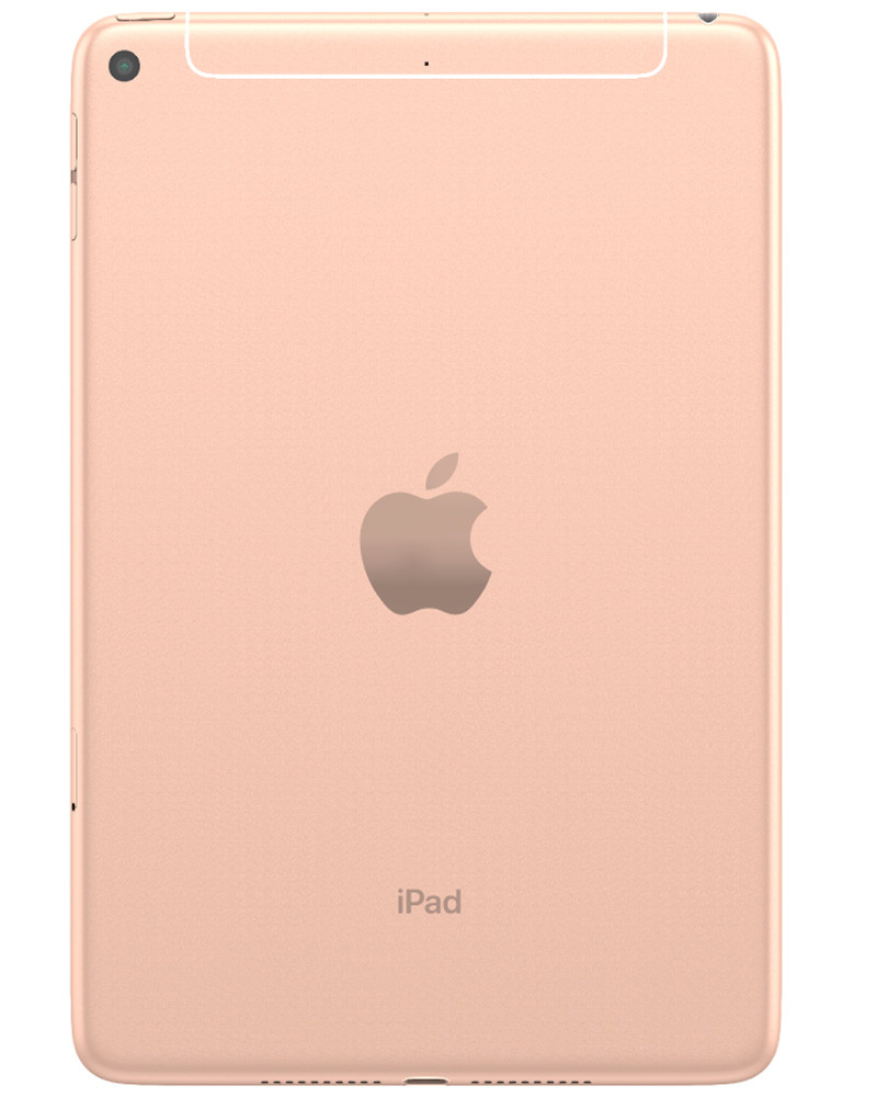 Wholesale Apple iPad Mini 7.9 2019 5th Gen gold 64GB Wi-Fi only, C stock — bulk tablet lot back view