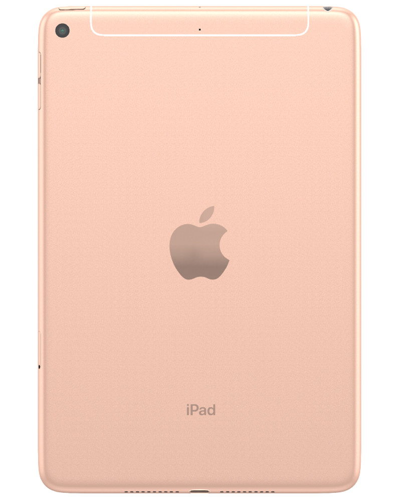 Wholesale Apple iPad Mini 7.9 2019 5th Gen gold 64GB Wi-Fi only, B/C stock — bulk tablet lot back view