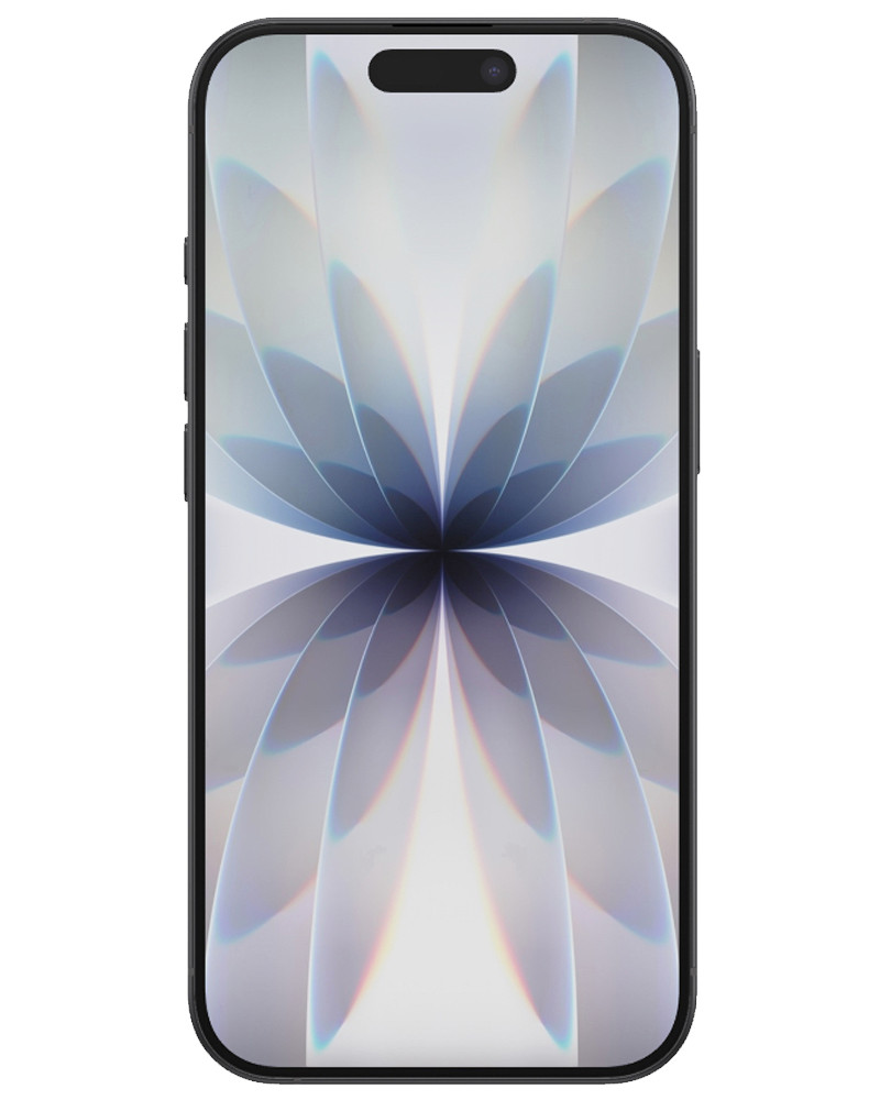 Wholesale Apple iPhone 17 A3258 black 256GB 5G unlocked, C/D stock — bulk smartphone lot front view