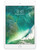 Wholesale Apple iPad Mini 7.9 2015 4th Gen silver 128GB Wi-Fi only, C stock — bulk tablet lot front view