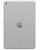 Wholesale Apple iPad Mini 7.9 2015 4th Gen silver 128GB Wi-Fi only, A stock — bulk tablet lot back view