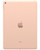 Wholesale Apple iPad 9.7 2018 Gold 128GB Wifi only B/C Stock — bulk tablet lot back view