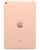 Wholesale Apple iPad Mini 7.9 2019 5th gen A2126 gold 64GB Wi-Fi + Cellular locked, B grade — bulk tablet lot back view