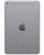 Wholesale Apple iPad mini 2019 gray 64GB Wi-Fi + Cellular unlocked, grade B — bulk tablet lot back view