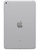 Wholesale Apple iPad Mini 5 A2133 silver 64GB Wi-Fi only, C stock — bulk tablet lot back view