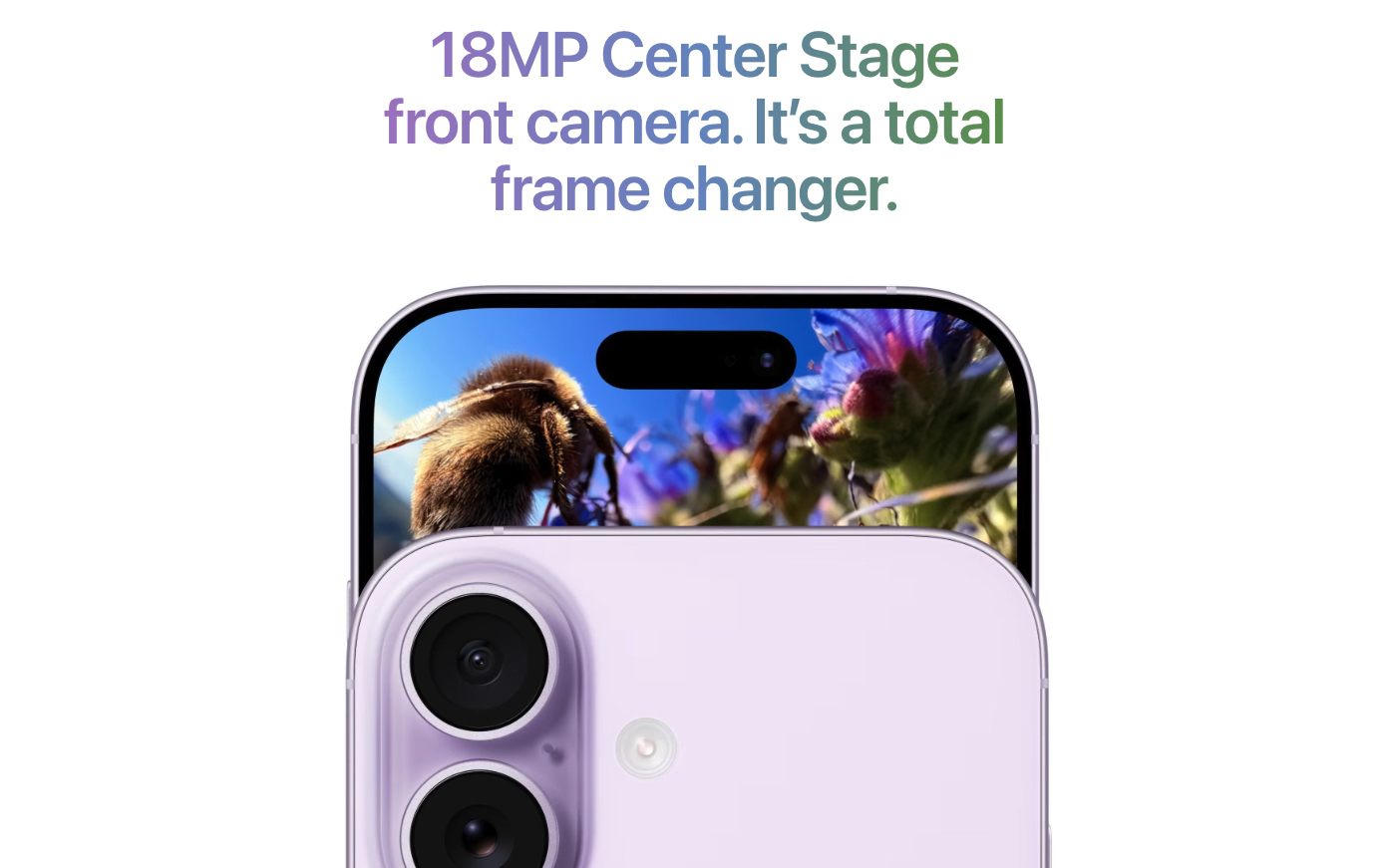 iPhone 17 256GB Black 5G | Bulk New Unlocked Phones