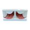 Red/Black False Strip Eyelashes by Lash Stuff