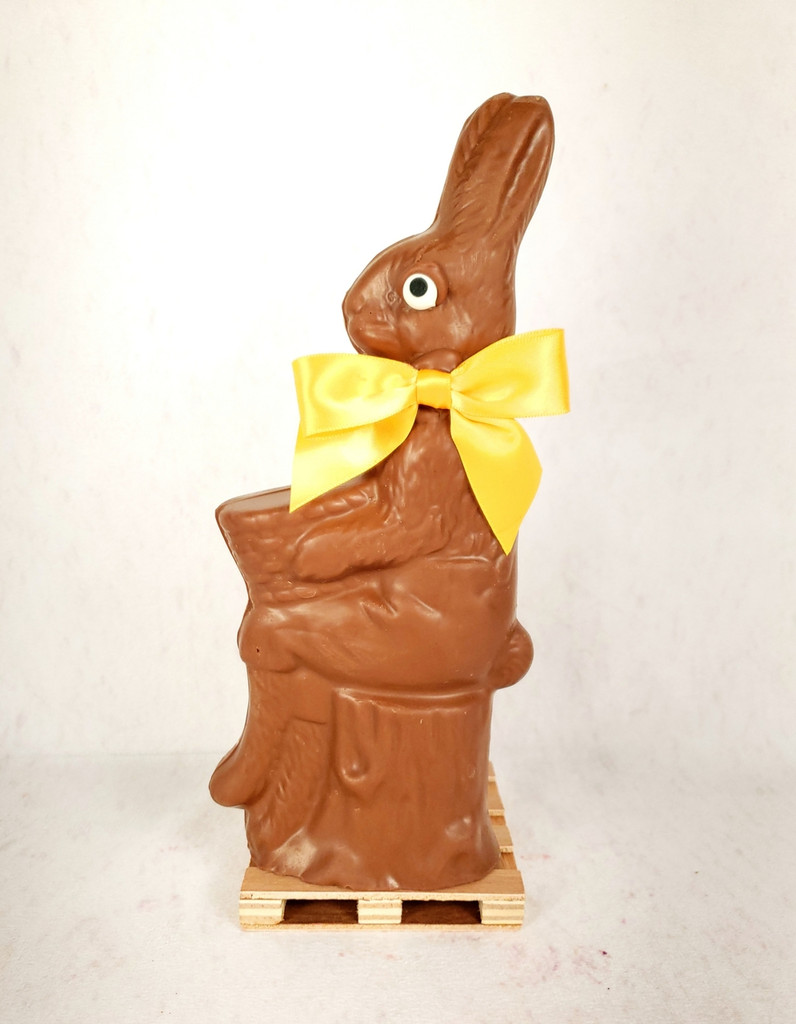 #14 Rabbit on a Stump