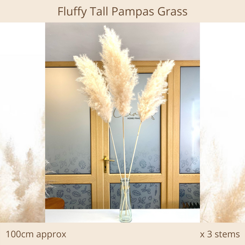 Fluffy Tall Pampas Grass x3 Stems