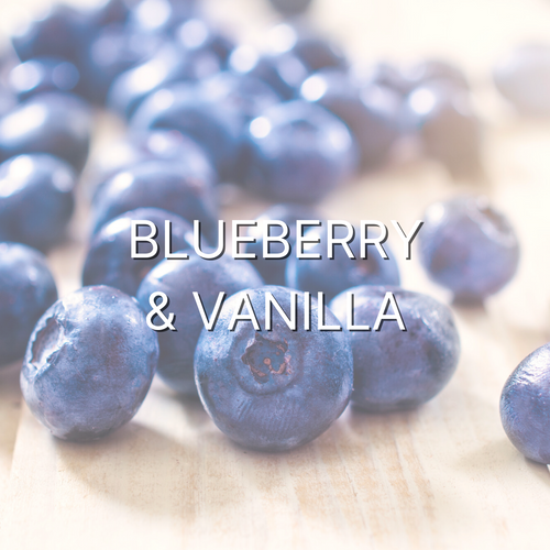 Blueberry & Vanilla 1oz Wax Melt