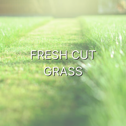 Fresh Cut Grass 1oz Wax Melt