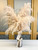 Extra Fluffy Mini Cascading Pampas Grass x2 Stems