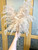 Extra Fluffy Mini Cascading Pampas Grass x2 Stems